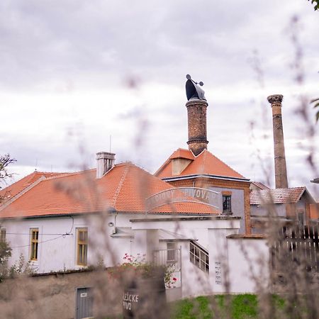 Pivovarsky Hotel Dalesice Eksteriør billede